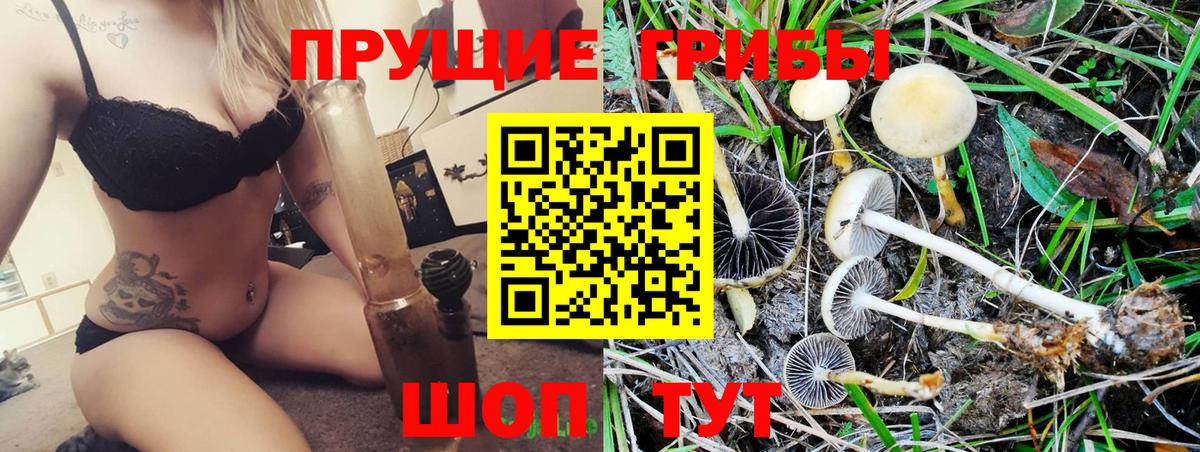 Псилоцибиновые грибы Cubensis Кулебаки