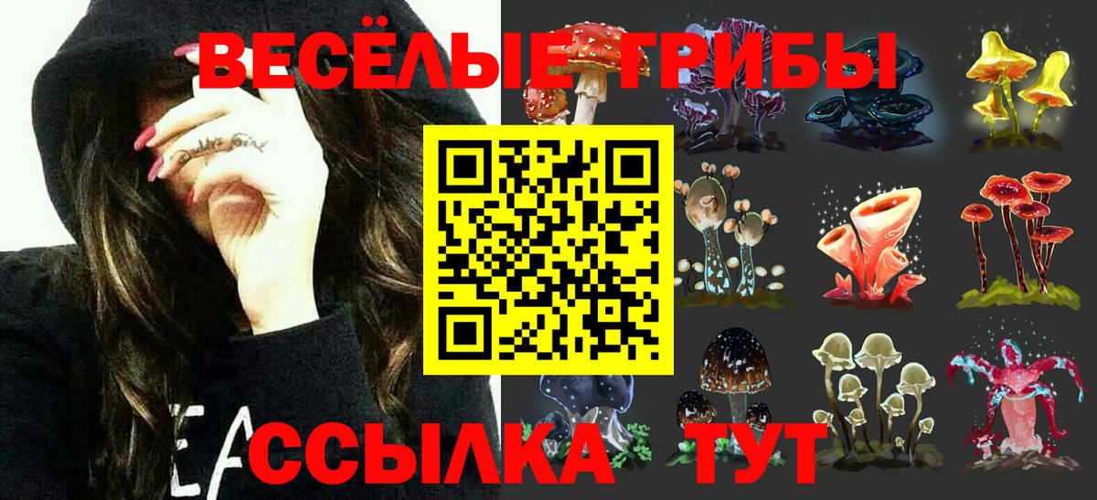 Галлюциногенные грибы прущие грибы  Псилоцибиновые грибы Psilocybine cubensis  Вход с VPN  Кулебаки 